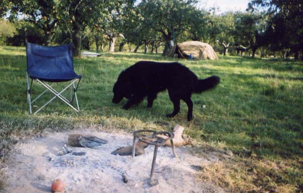 Site pictures - Kent 2004 - photo by Mary O'Brien