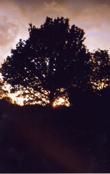 Site pictures - Kent 2004 - photo by Mary O'Brien