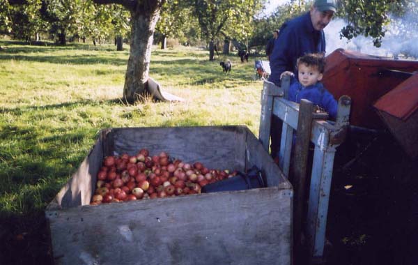 Site pictures - Kent 2004 - photo by Mary O'Brien