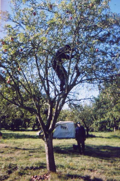 Site pictures - Kent 2004 - photo by Mary O'Brien